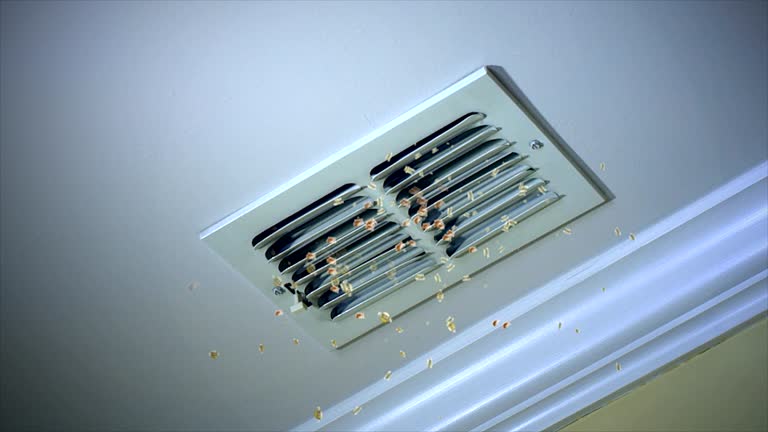 HVAC System Cleaning in VA