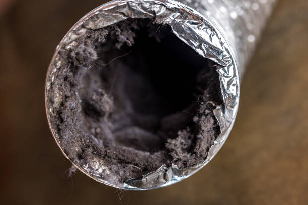 Best Air Duct Cleaning Near Me  in North Shore, VA