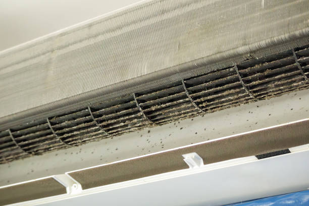 Best Affordable Duct Cleaning Services  in North Shore, VA